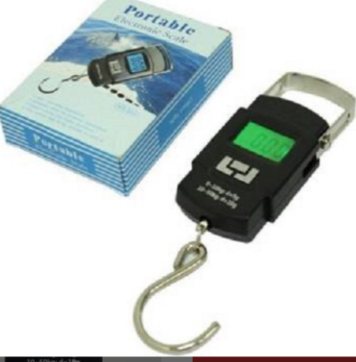 Portable Weight Scale